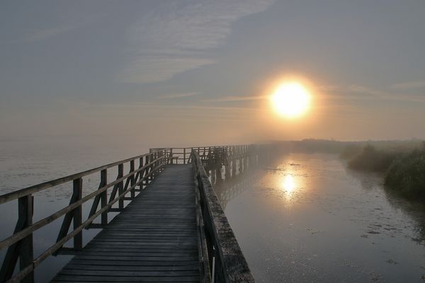 Sonnenaufgang am Federsee