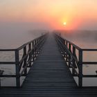 Sonnenaufgang am Federsee