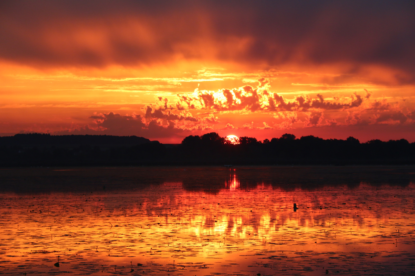 Sonnenaufgang am Federsee