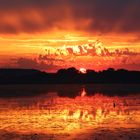 Sonnenaufgang am Federsee