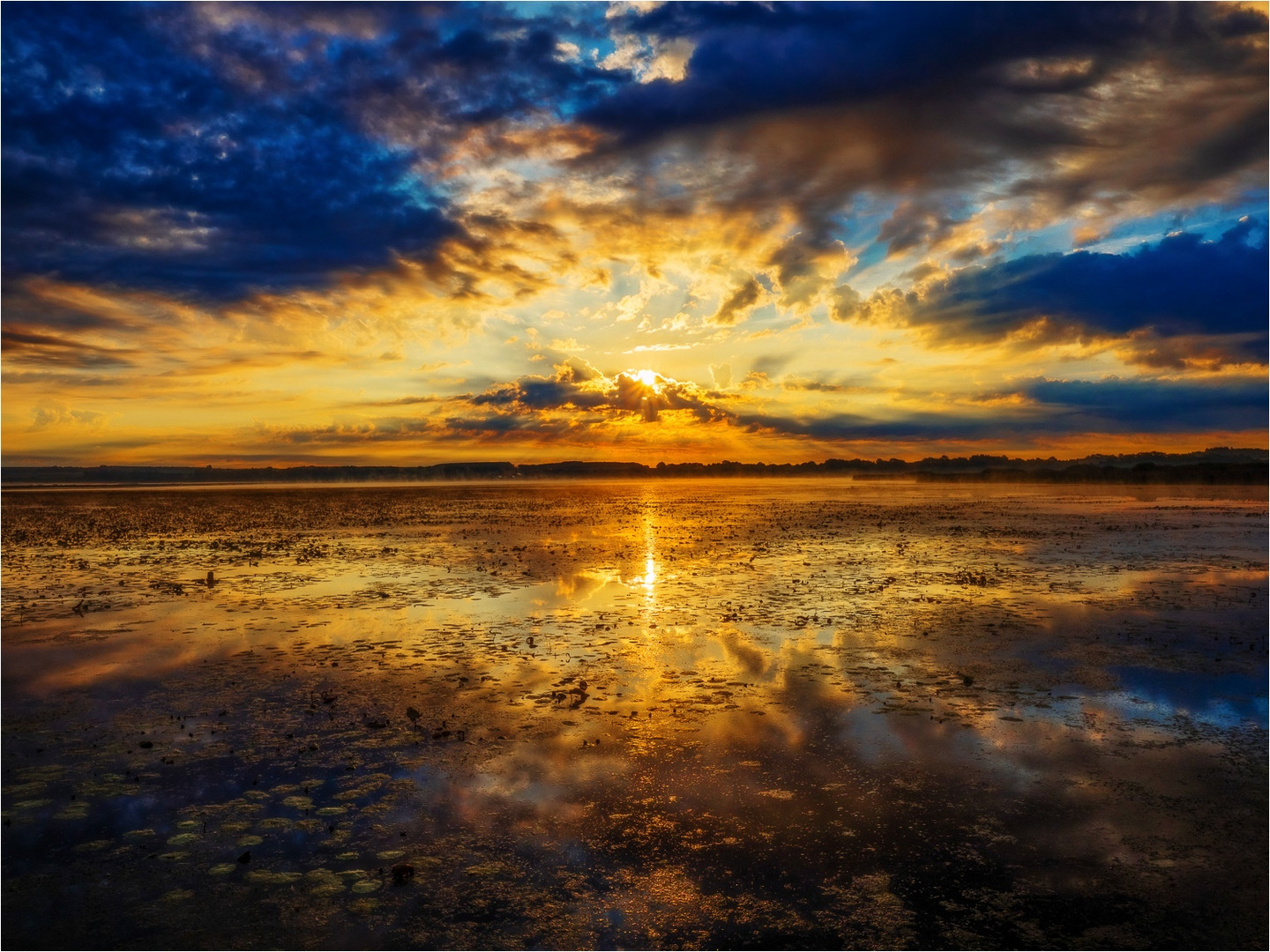 Sonnenaufgang am Federsee