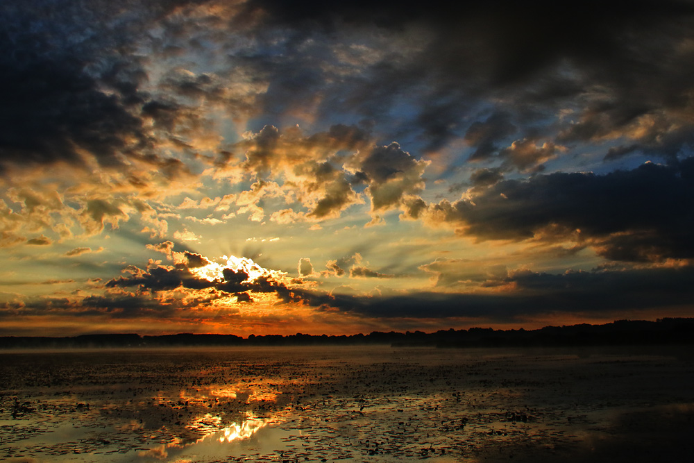 Sonnenaufgang am Federsee