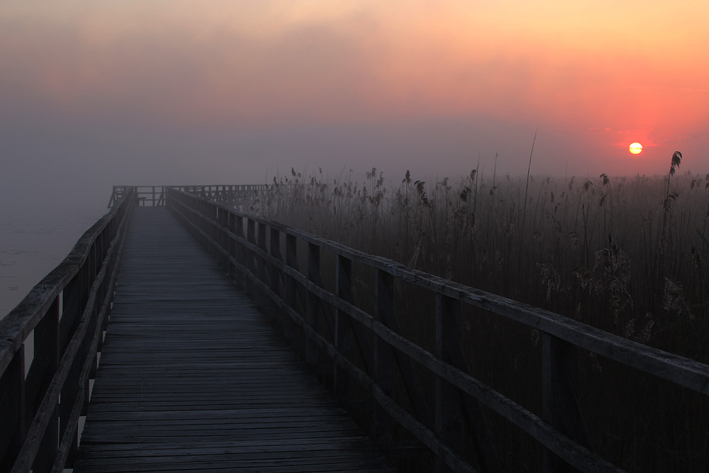 Sonnenaufgang am Federsee