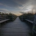 Sonnenaufgang am Federseesteg