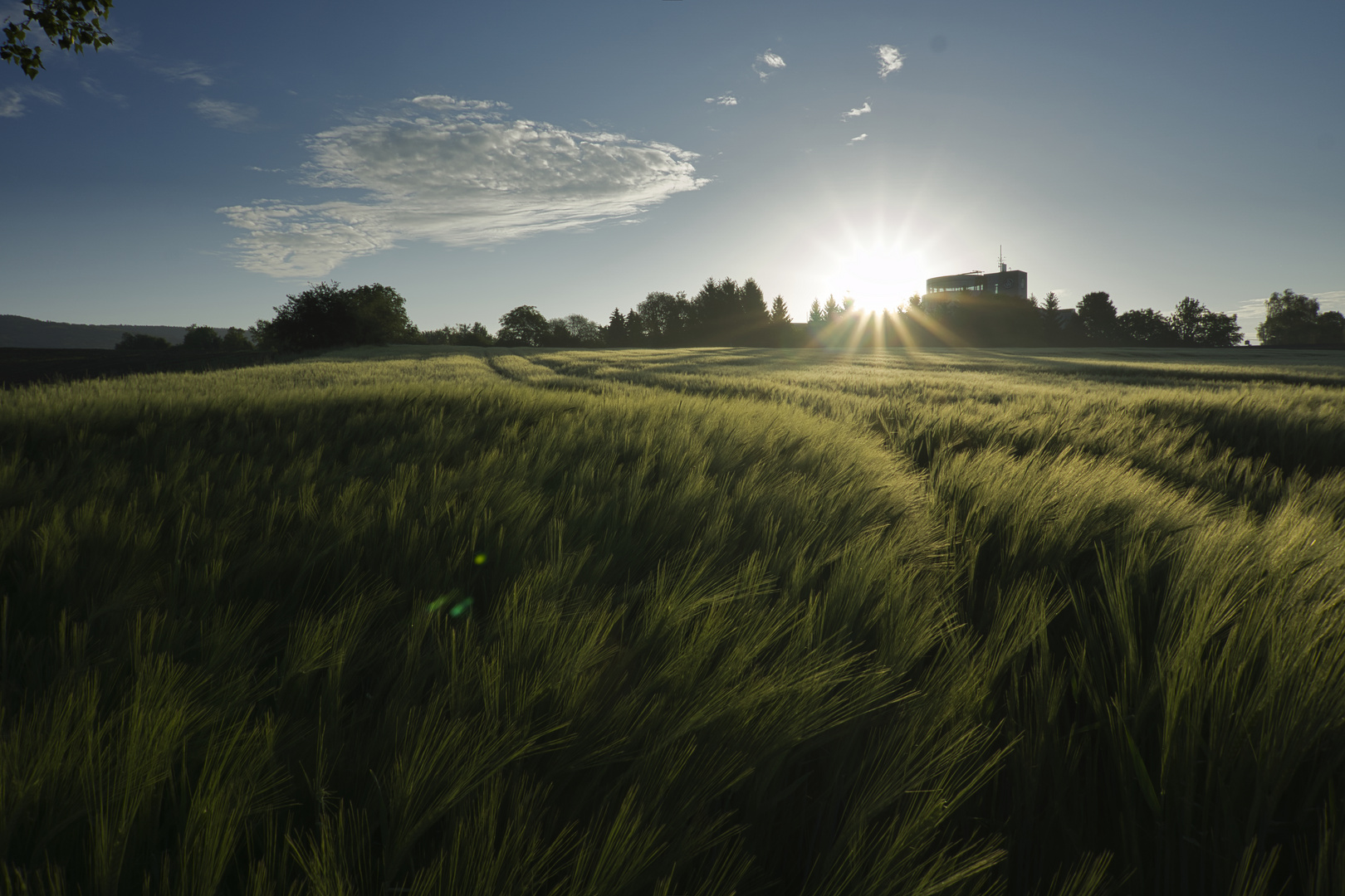 Sonnenaufgang am Feld