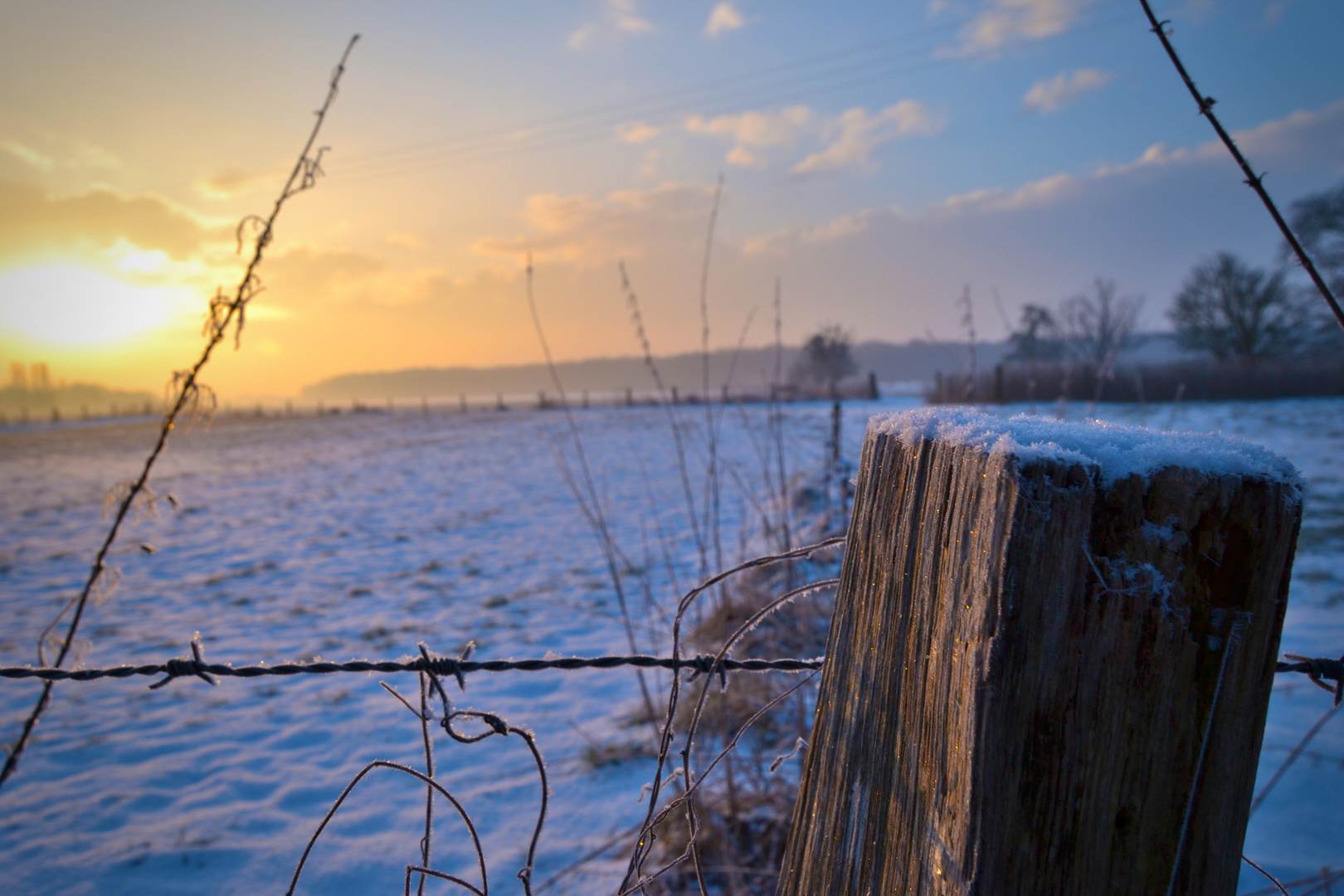 Sonnenaufgang am Feldrand