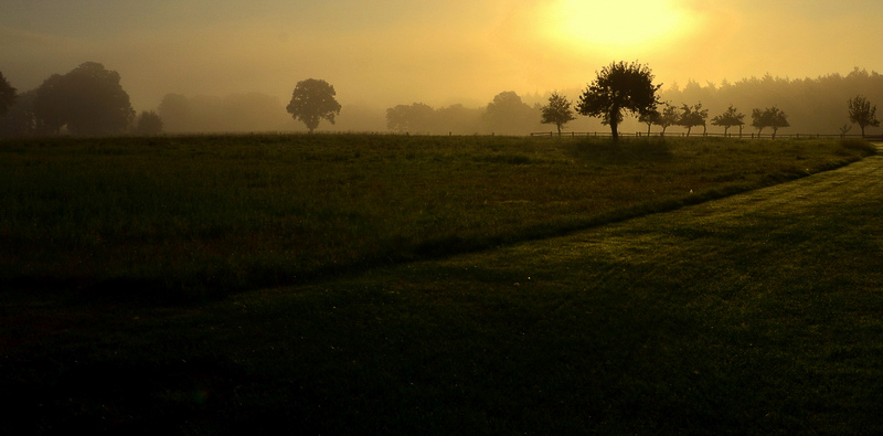 Sonnenaufgang am Feldrand