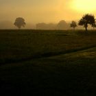 Sonnenaufgang am Feldrand