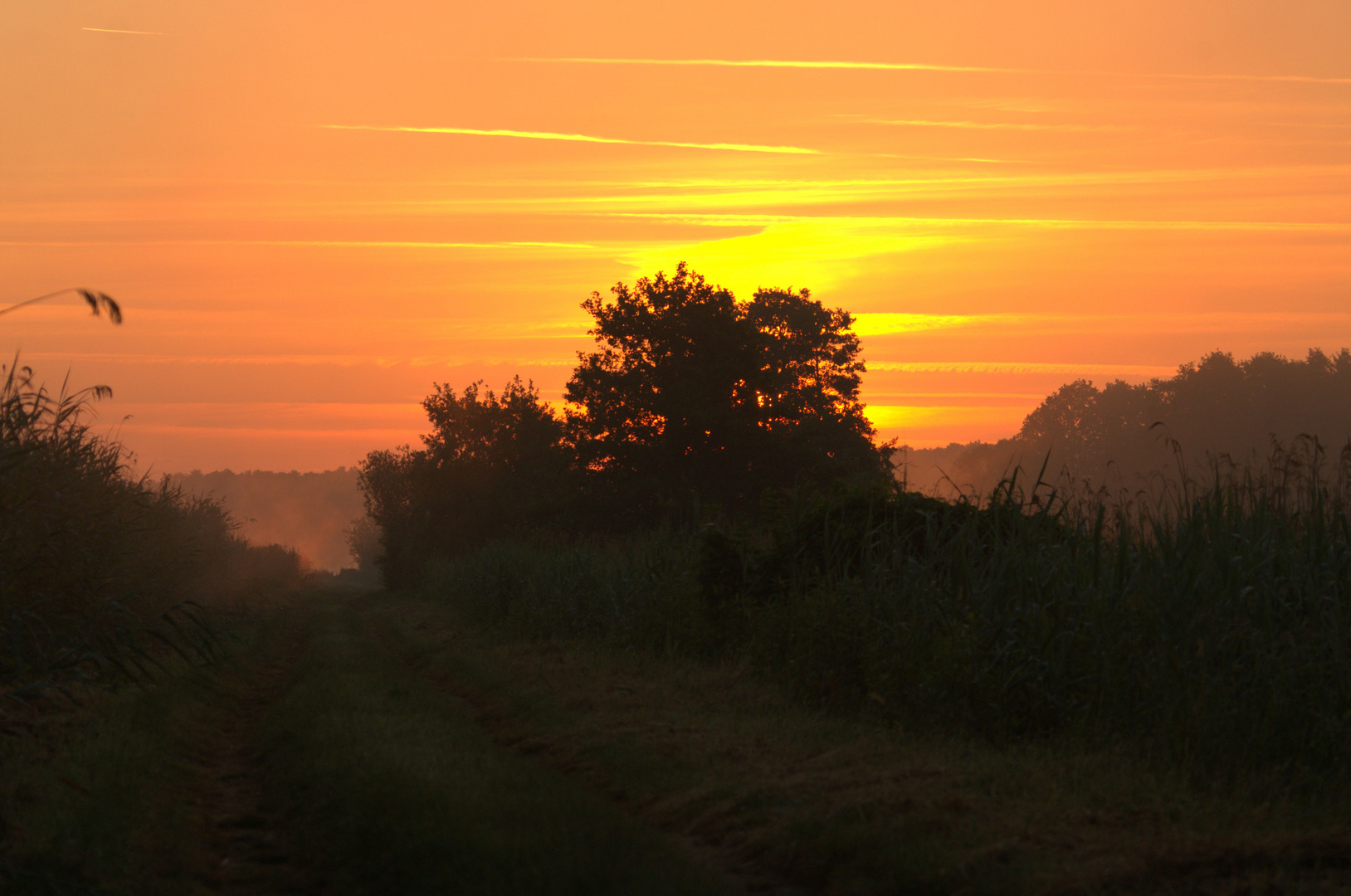 Sonnenaufgang am Fischteich