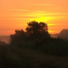 Sonnenaufgang am Fischteich