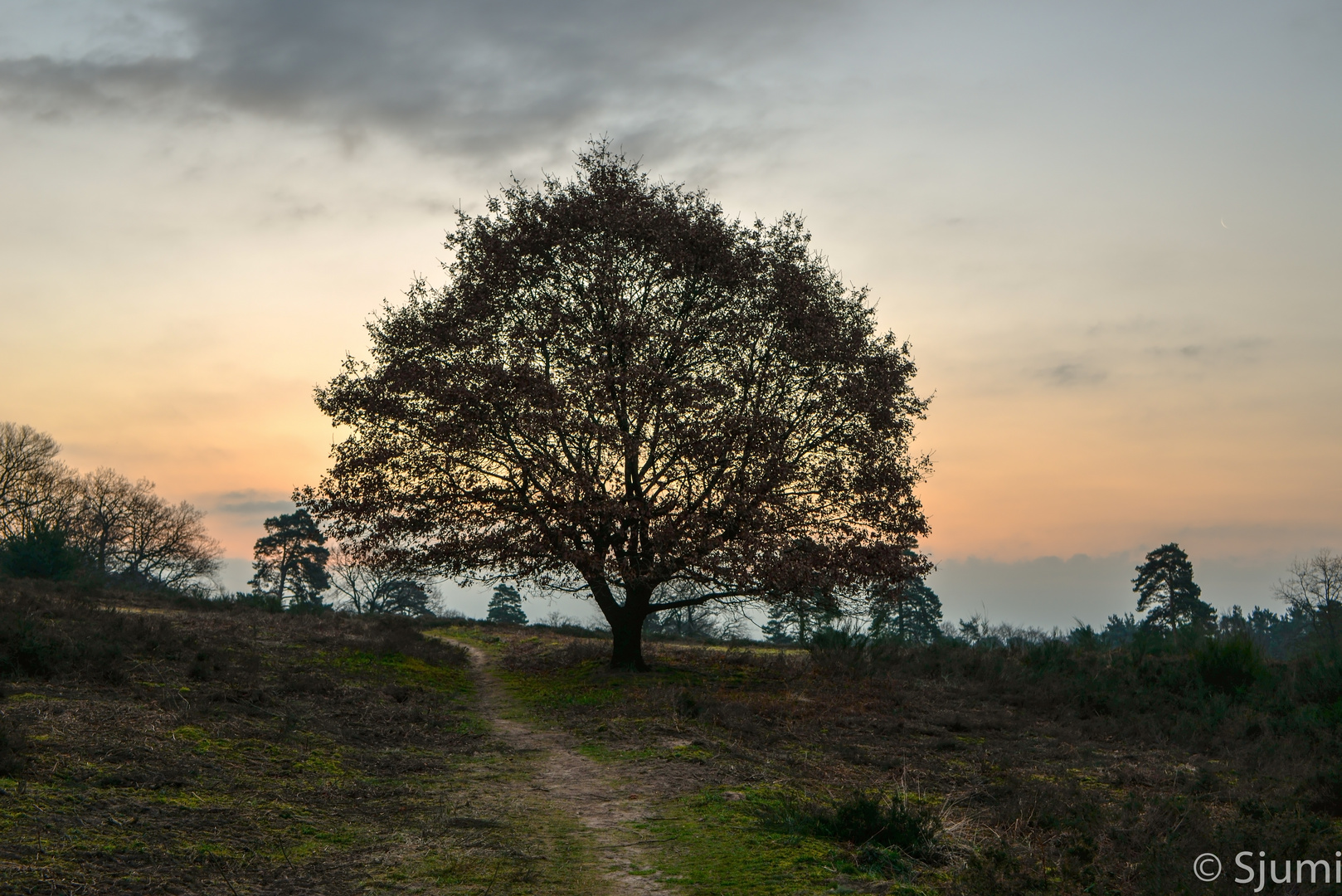 Sonnenaufgang am Fliegenberg