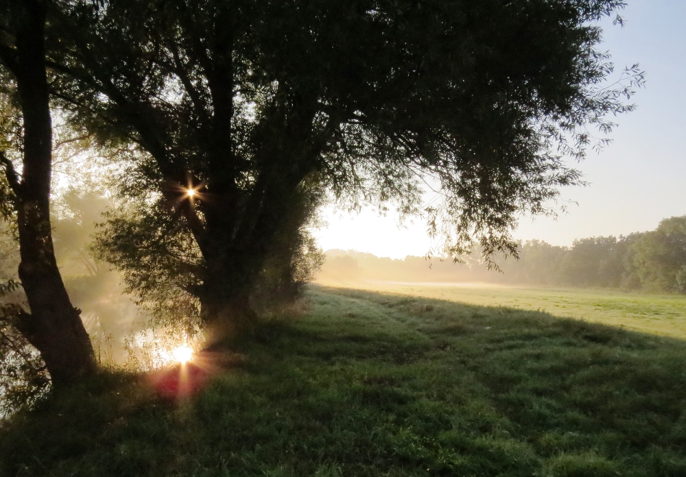 Sonnenaufgang am Fluss