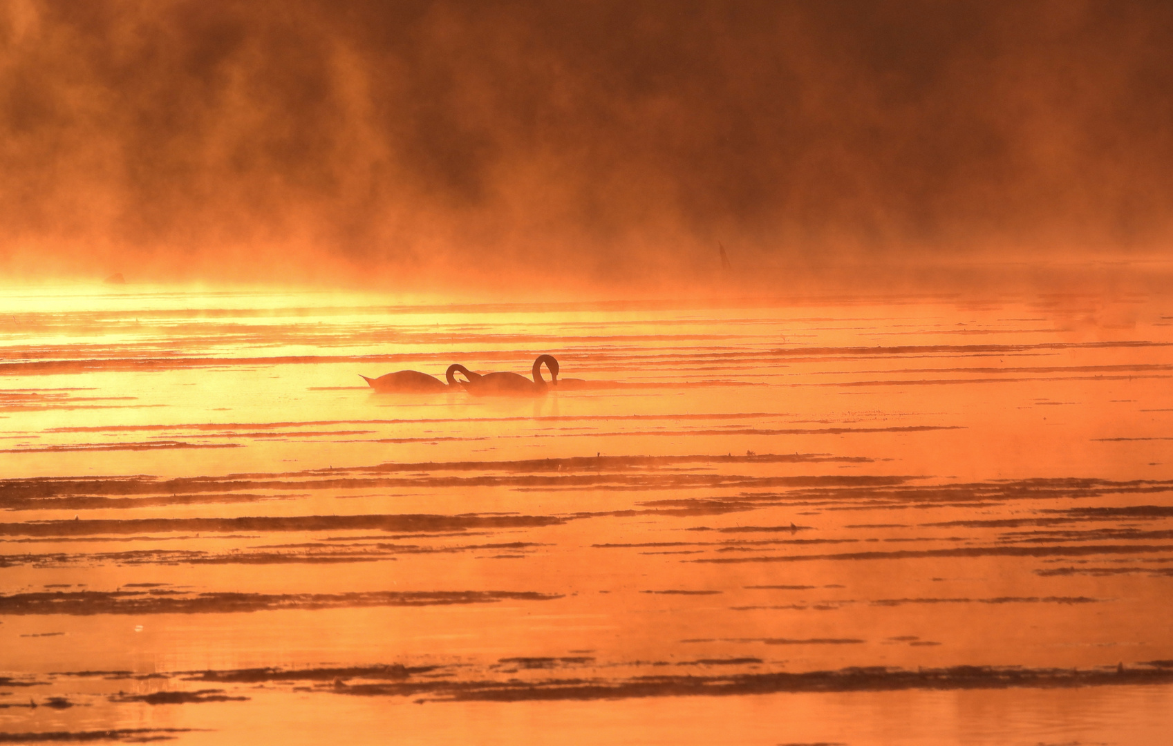 Sonnenaufgang am Fluss_04