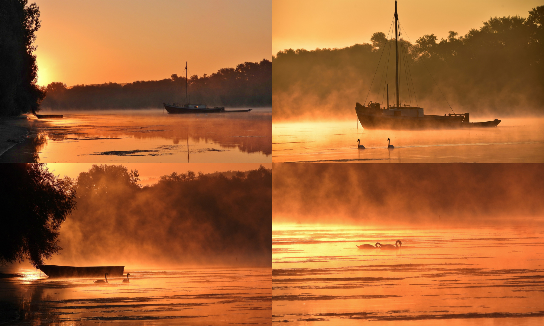 Sonnenaufgang am Fluss_06 Collage