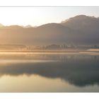 Sonnenaufgang am Forggensee