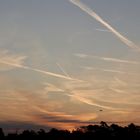 Sonnenaufgang am Frankfurter Flughafen