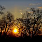 Sonnenaufgang am Freitag an der Elbe