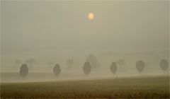 Sonnenaufgang am Friedhof