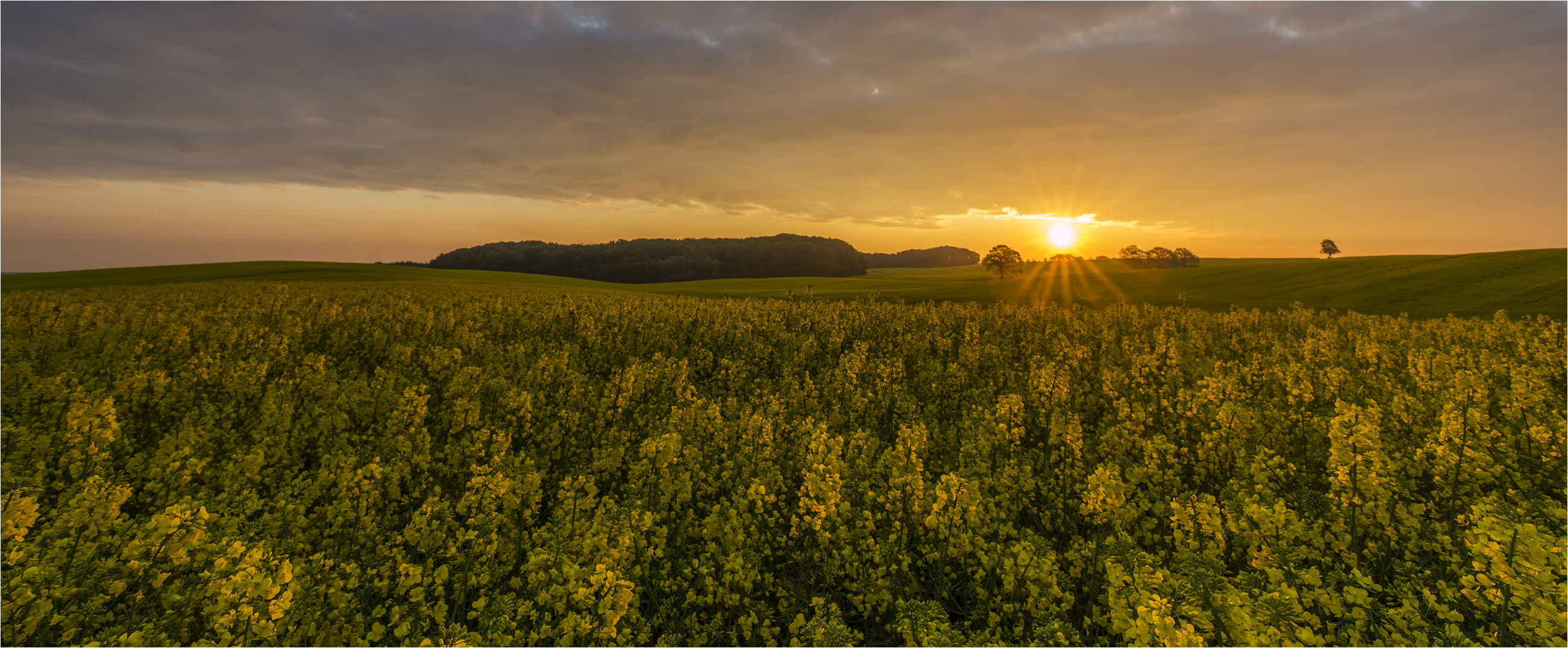 … Sonnenaufgang am Gelben Meer …