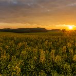 … Sonnenaufgang am Gelben Meer …