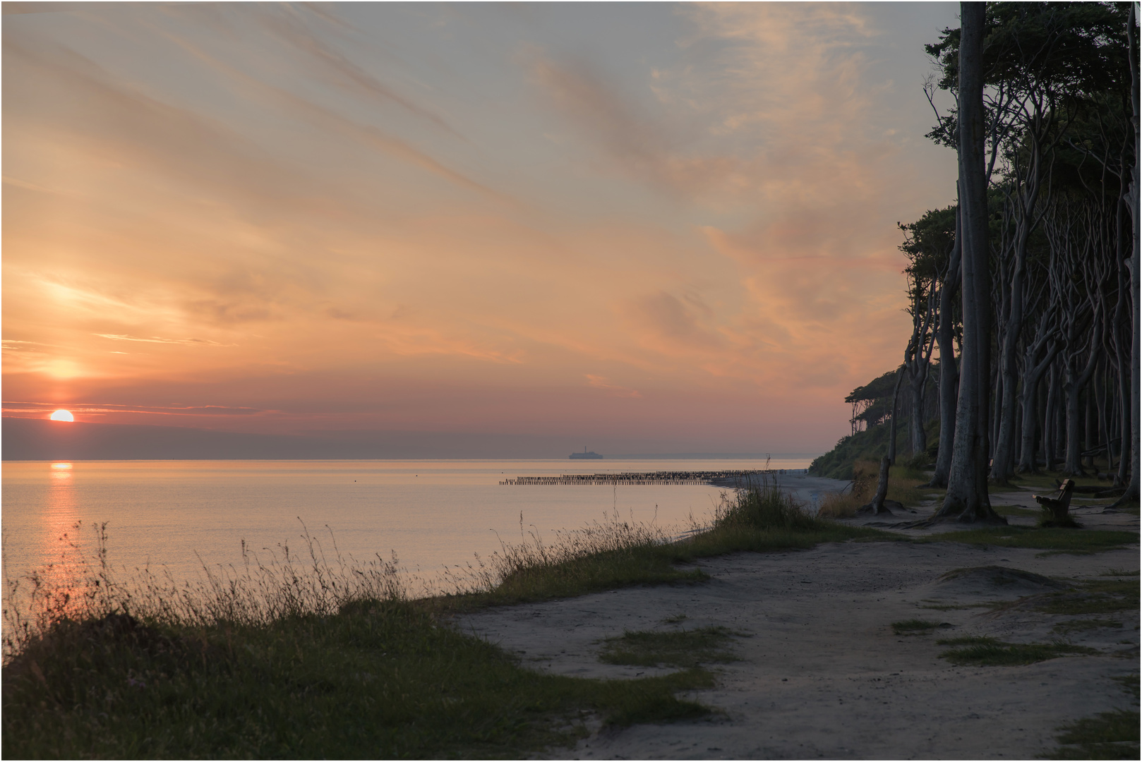 *Sonnenaufgang am Gespensterwald*