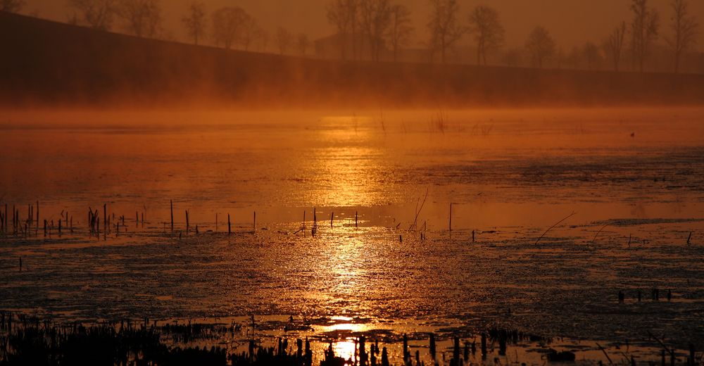 Sonnenaufgang am Goldbergsee