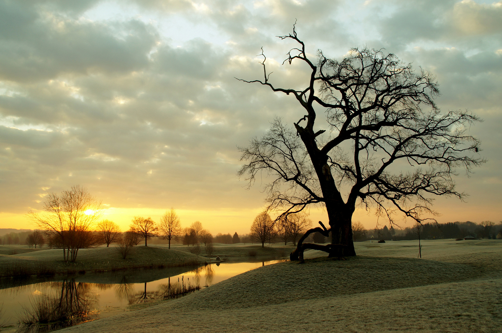 Sonnenaufgang am Golfplatz