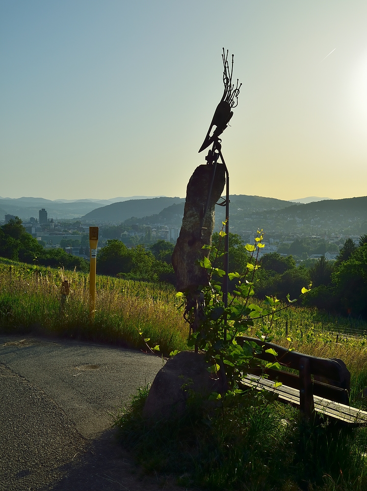 Sonnenaufgang am Grenzweg Deutschl. - Schhweiz