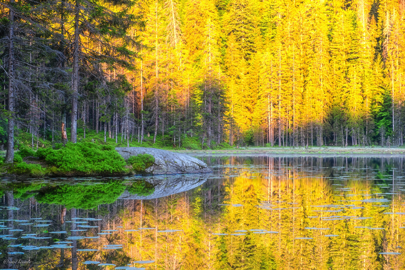 Sonnenaufgang am Grossen Arbersee I