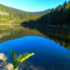 Sonnenaufgang am Grossen Arbersee V