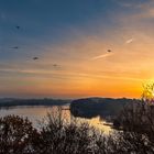 Sonnenaufgang am großen Segeberger See