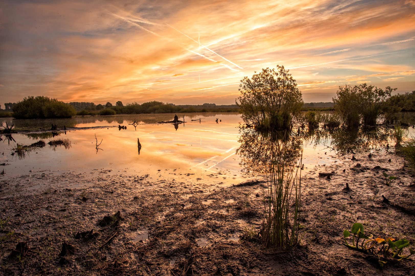 Sonnenaufgang am GroßesTorfmoor