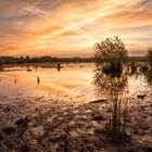 Sonnenaufgang am GroßesTorfmoor