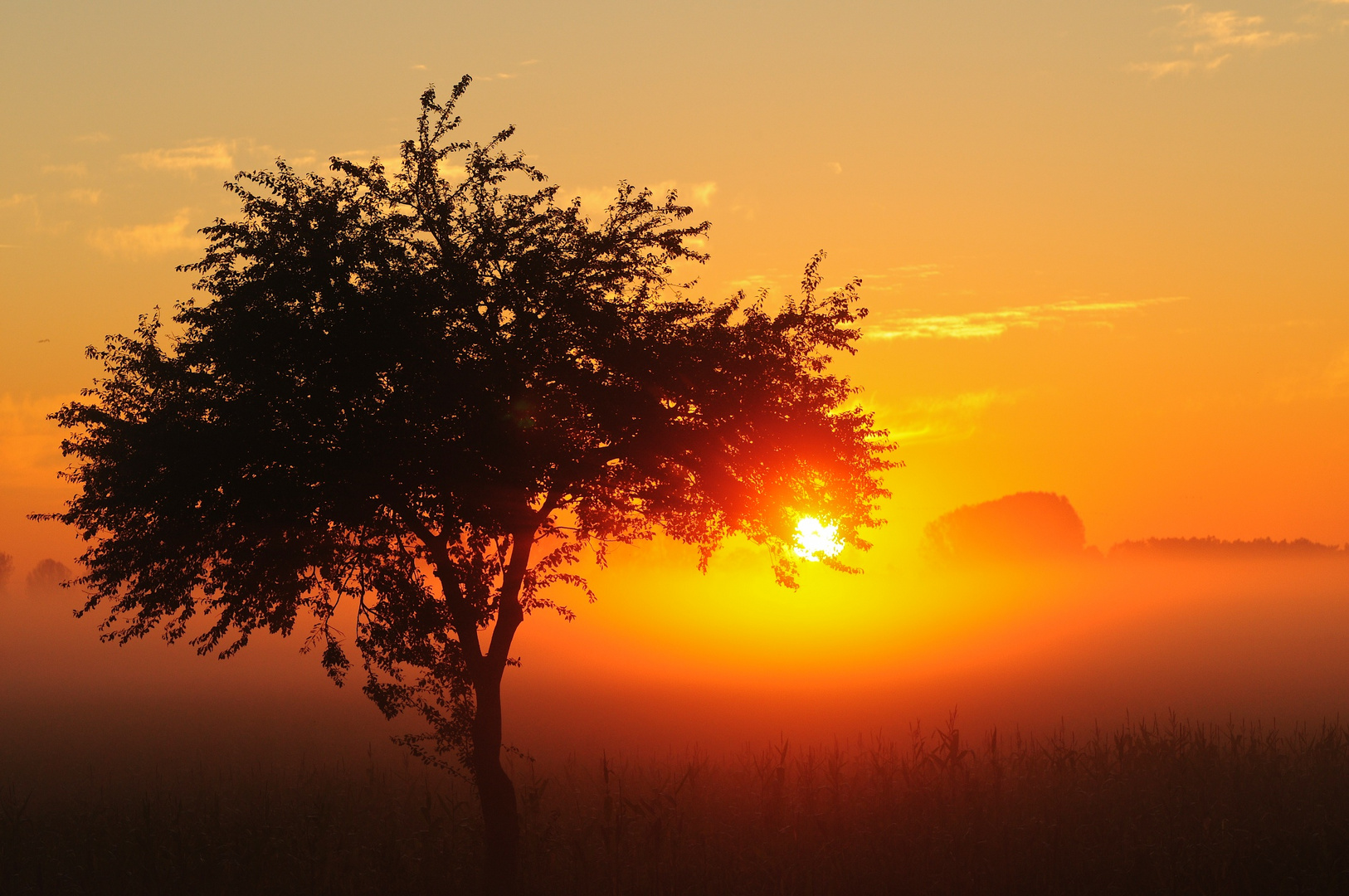 Sonnenaufgang am Günzer See