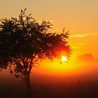 Sonnenaufgang am Günzer See