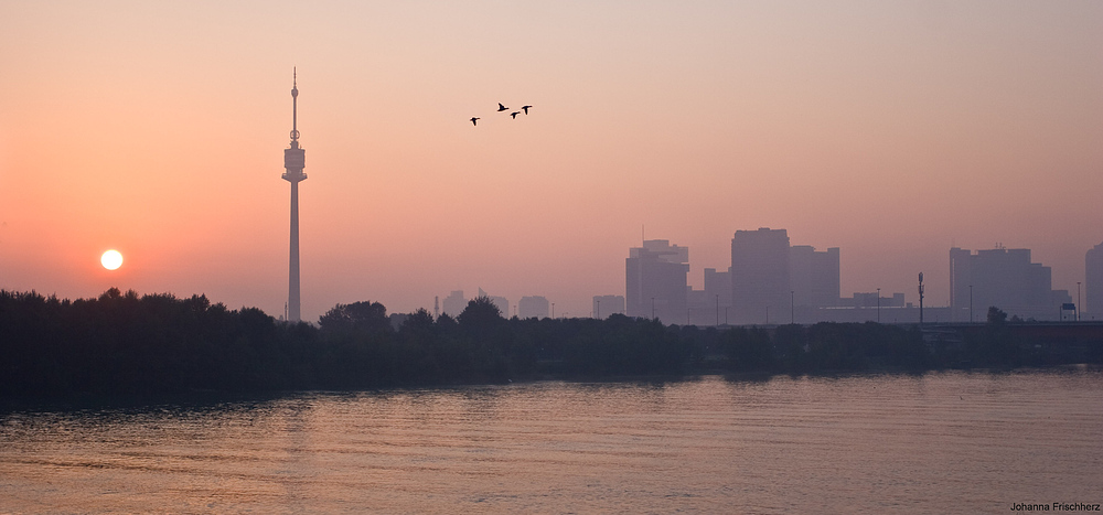 Sonnenaufgang am Handelskai