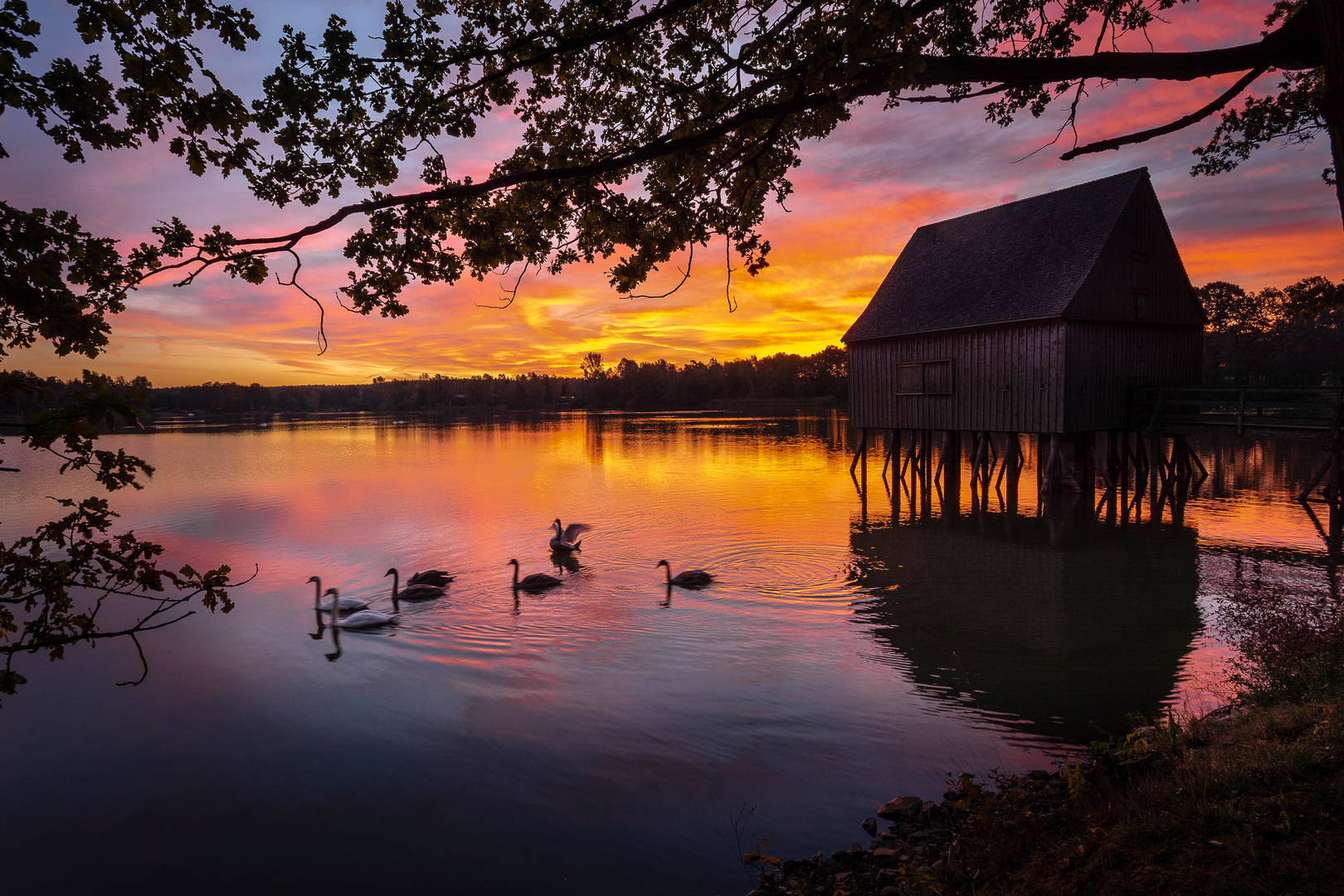 Sonnenaufgang am Hausteichhaus 