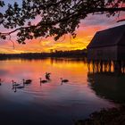 Sonnenaufgang am Hausteichhaus 