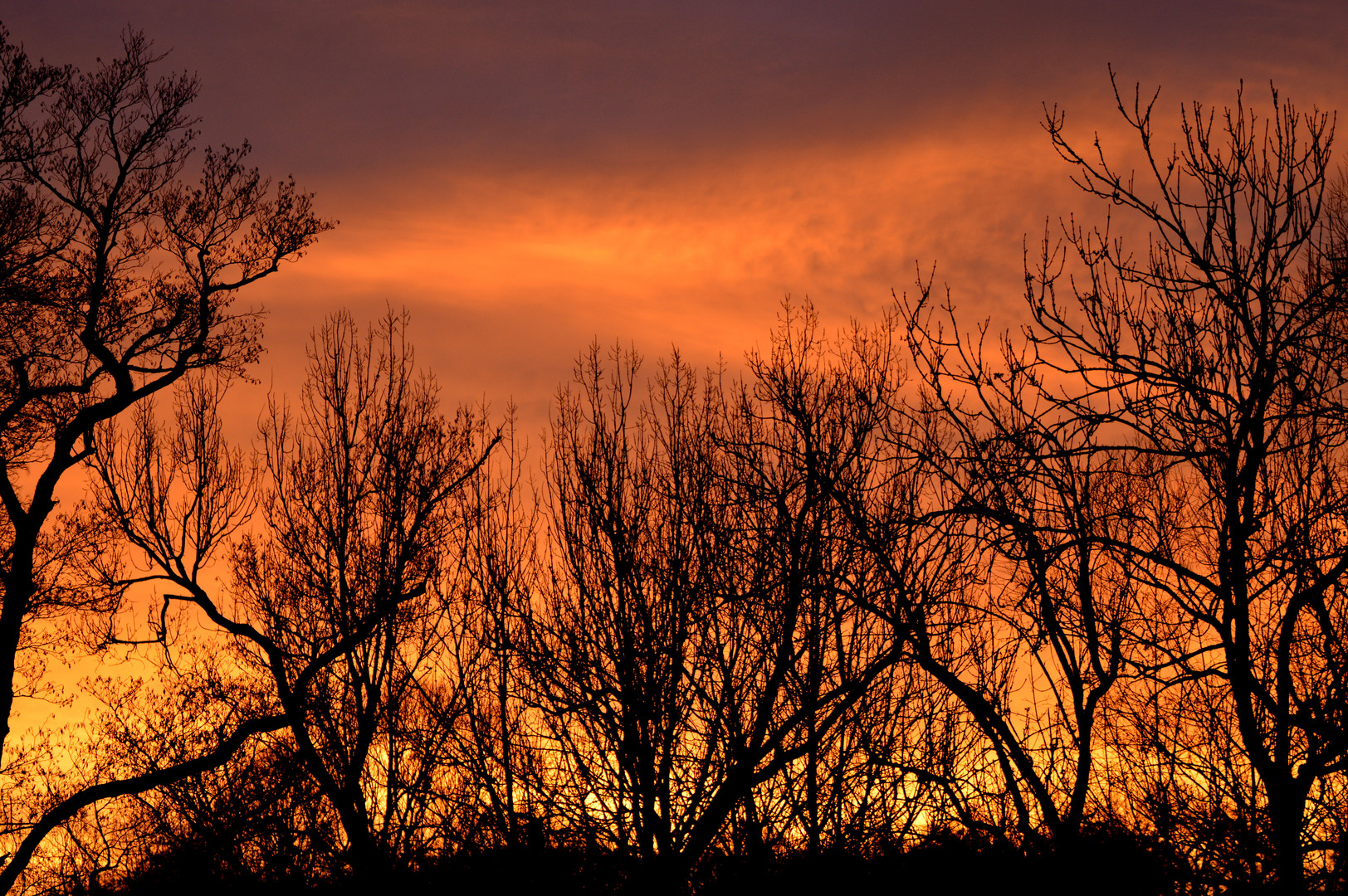 Sonnenaufgang am Heiligen Abend