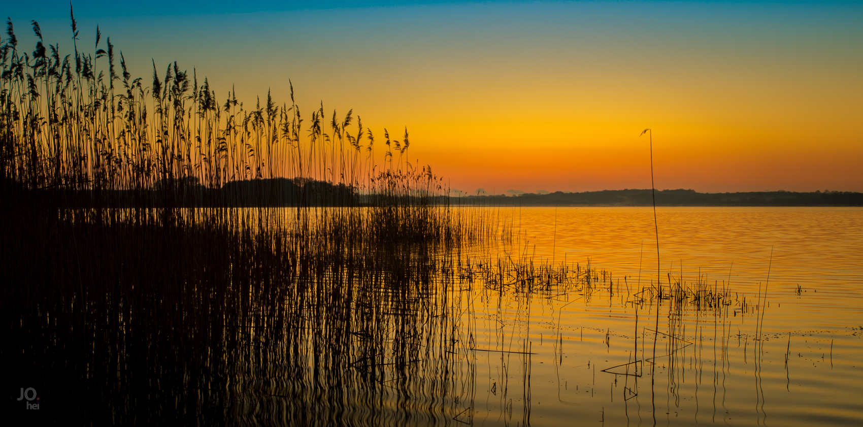 Sonnenaufgang am Hemmelsdorfer See im Schilf - Schleswig Holstein