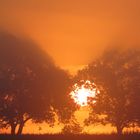 Sonnenaufgang am Herbstanfang