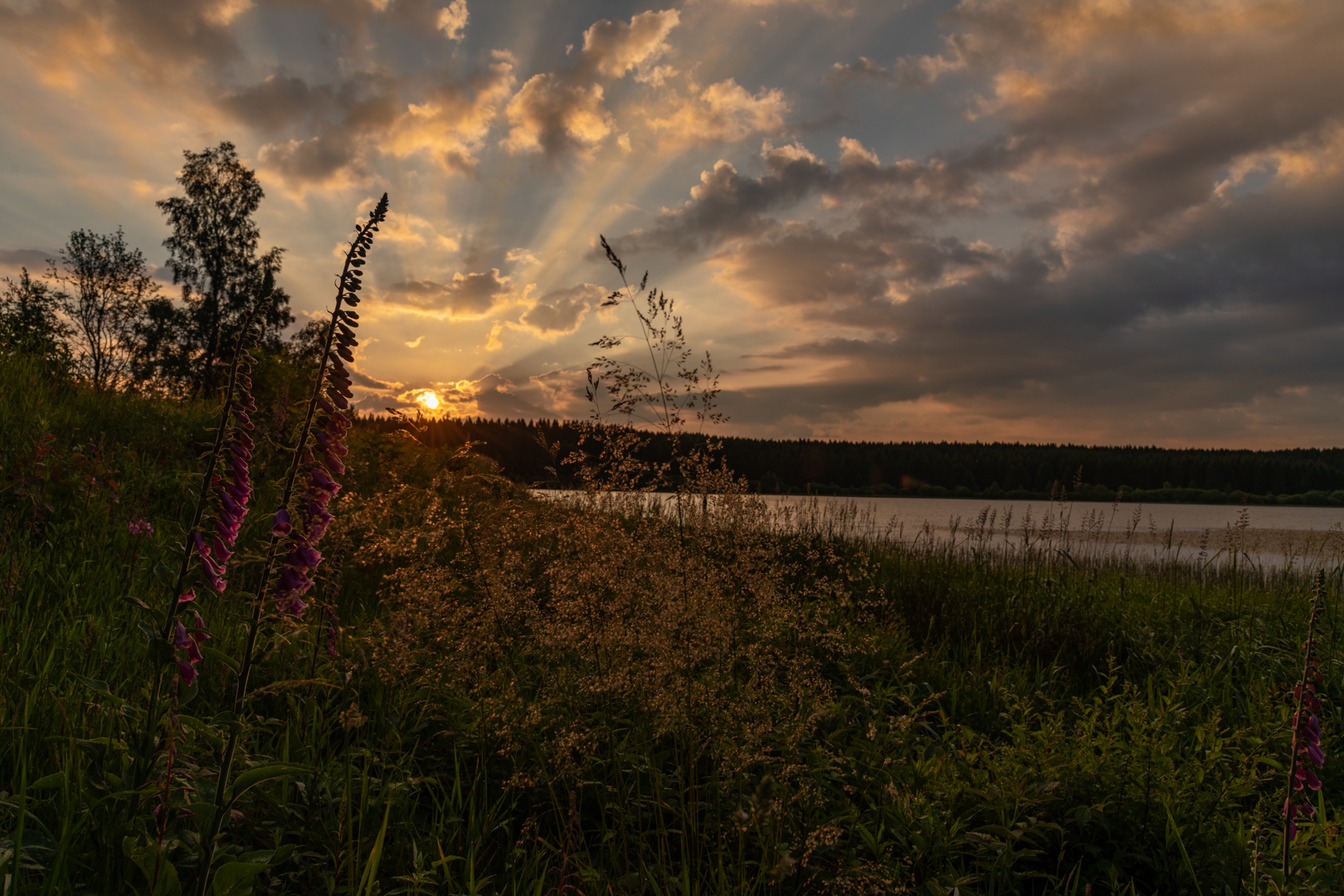 Sonnenaufgang am Hirschler Teich