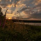 Sonnenaufgang am Hirschler Teich