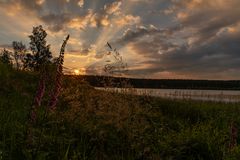 Sonnenaufgang am Hirschler Teich