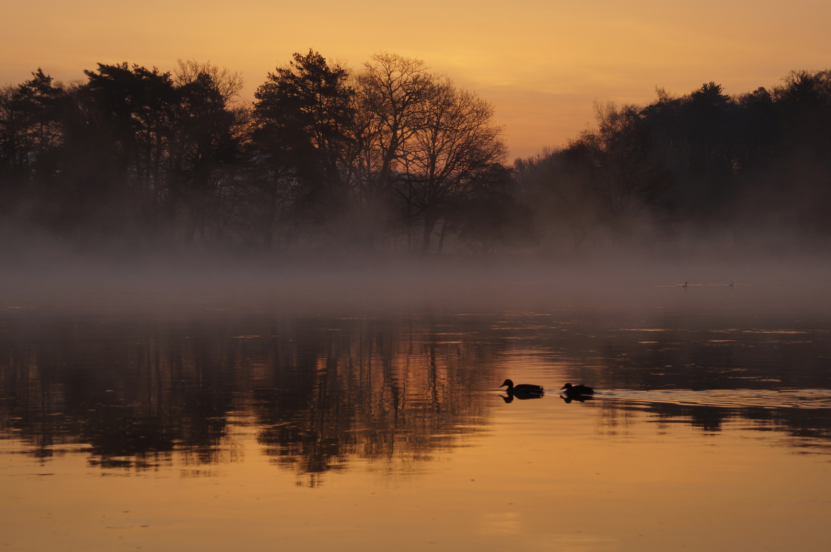 Sonnenaufgang am Hochrhein