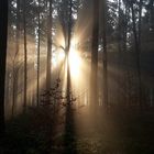 Sonnenaufgang am Hockstein