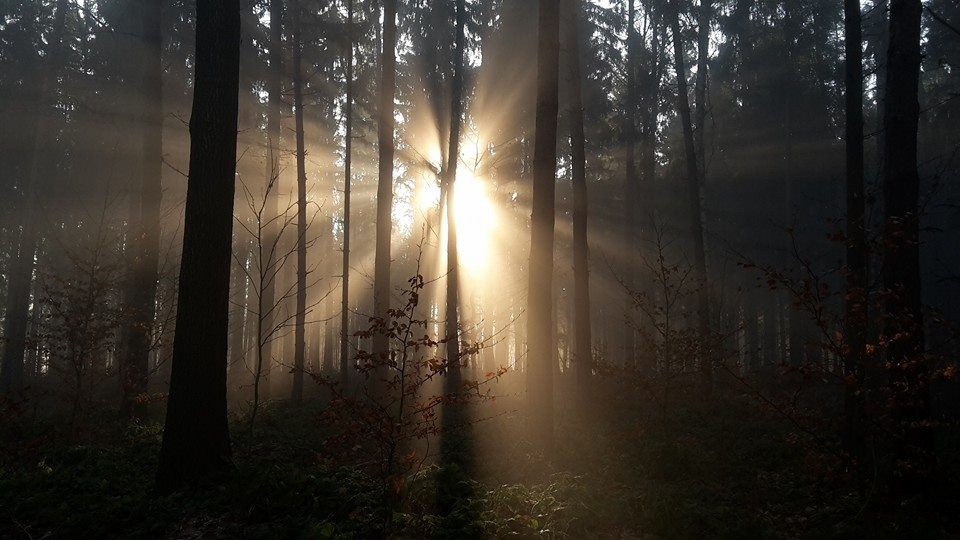 Sonnenaufgang am Hockstein