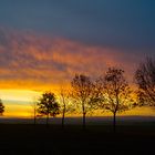 Sonnenaufgang am Höherberg