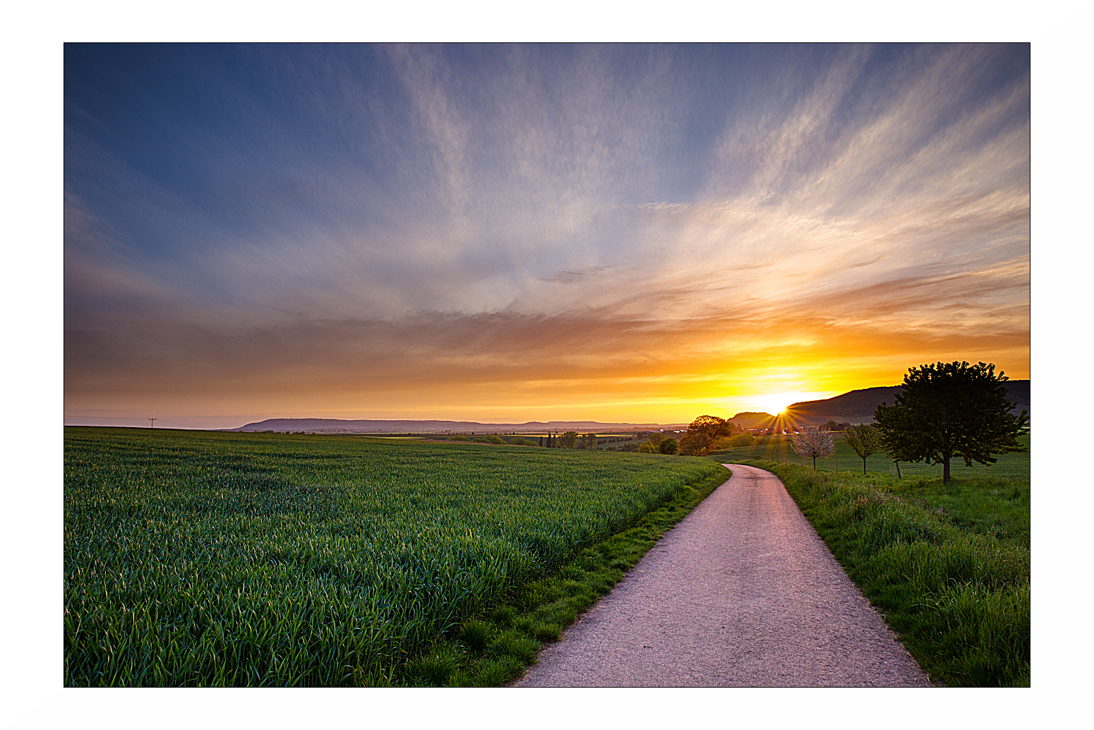 Sonnenaufgang am Iffigheimer Berg