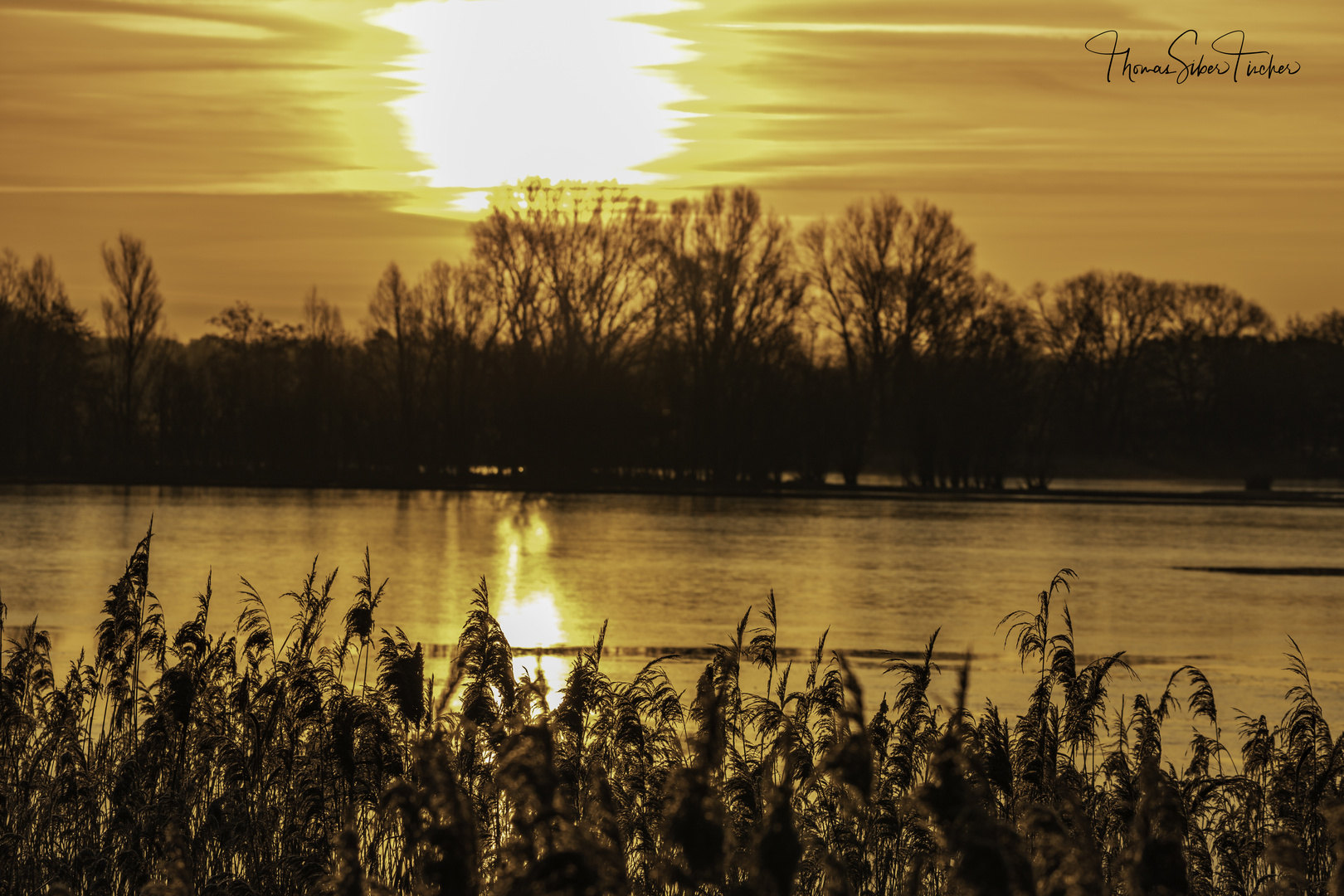 Sonnenaufgang am Ilkerbruch